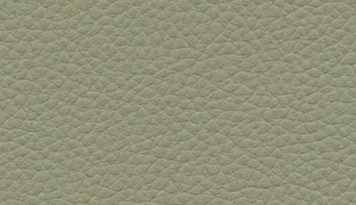 Toronto EN - Organic Green