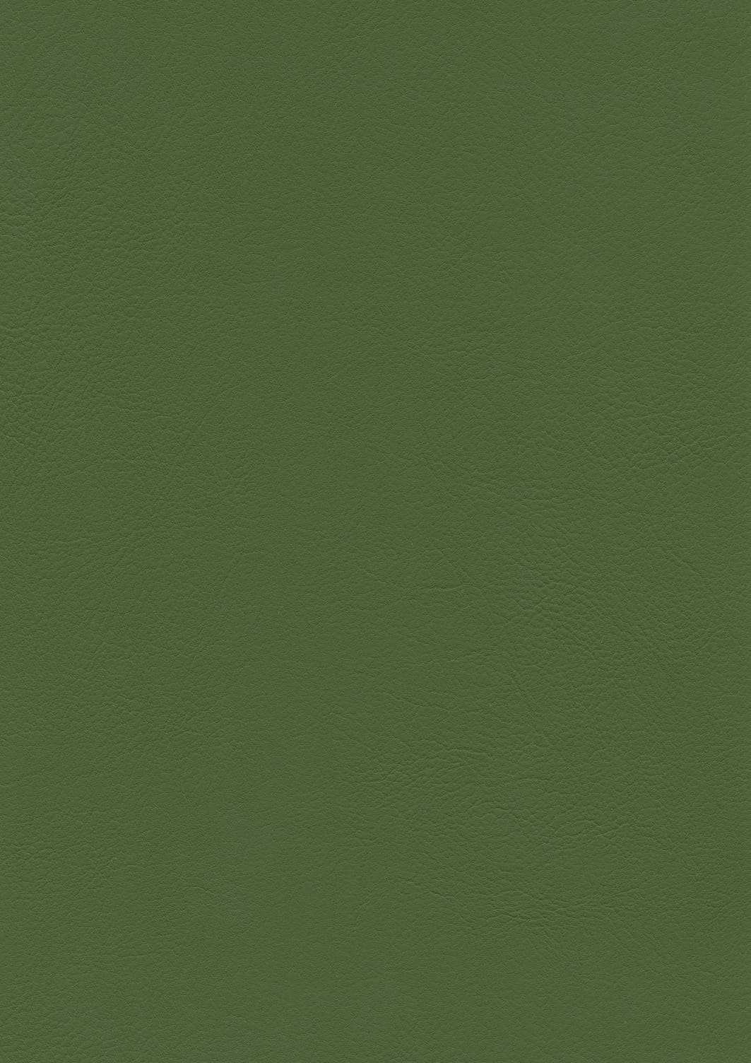 skai® Evida - Image 2