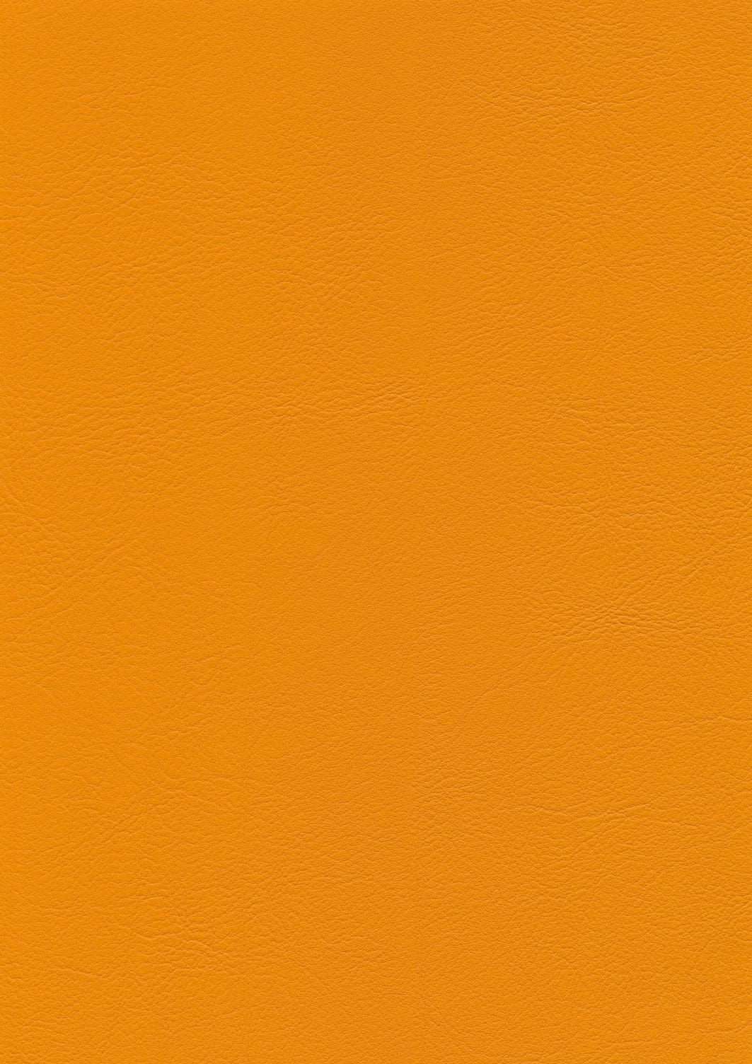 skai® Evida