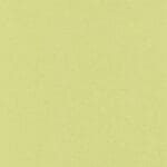 skai® Evida - `Reed - MAL 0970