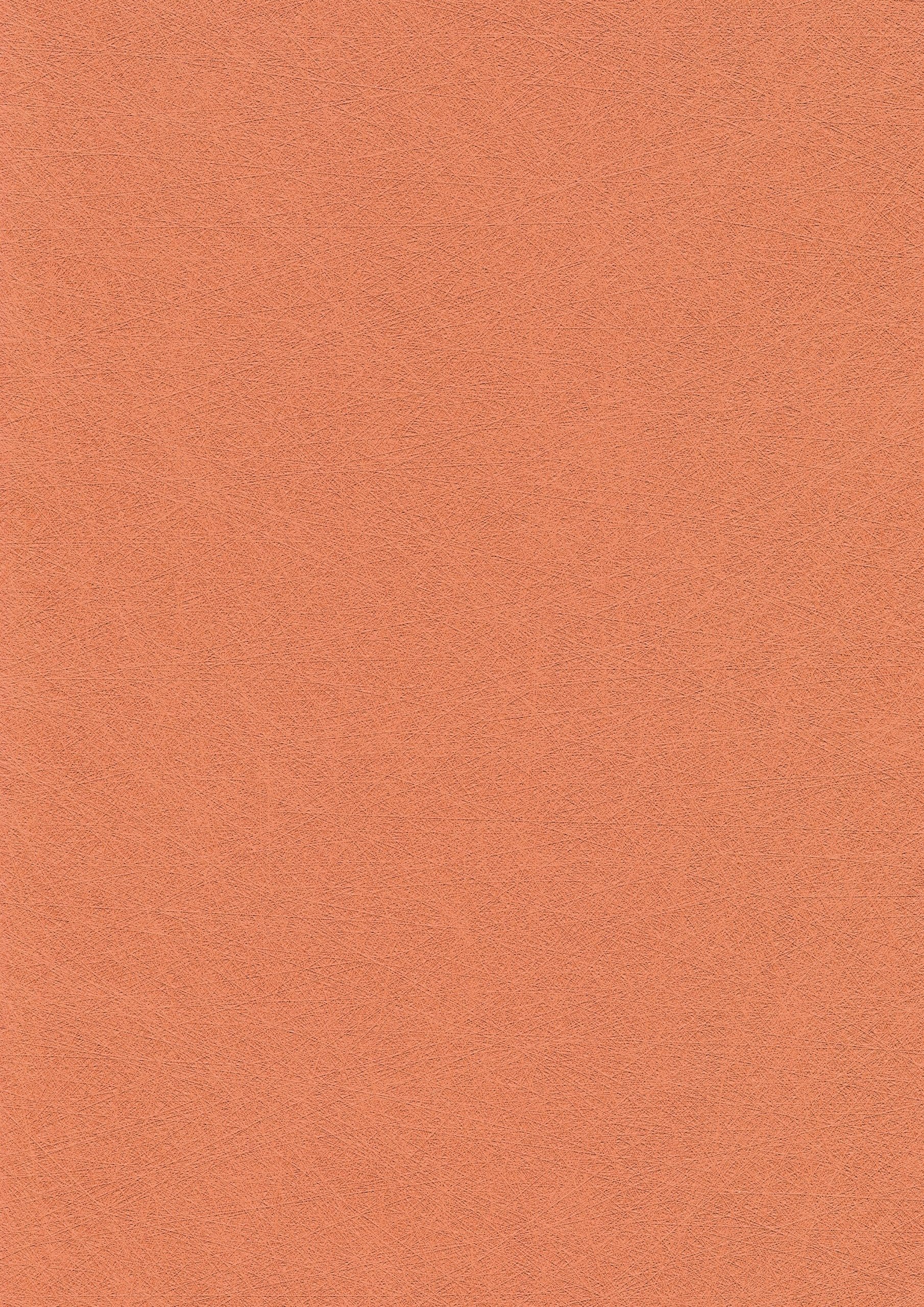 skai® Evida Fiber - Image 2