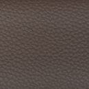 Titan - Brown 04