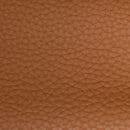 Titan - Cinnamon 603