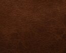 Tannery