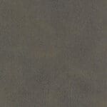 Buffalo - Granite
