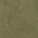 skai® Pavinto - Birch MAL-0281