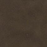 Buffalo - Bark