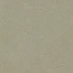 skai® Parotega NF - MAL - 0166