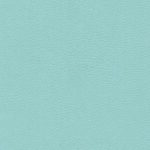 skai® Parotega NF - MAL - 0807