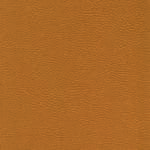 skai® Parotega NF Staynu - MAL - 0370