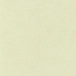 skai® Parotega NF - MAL - 0236