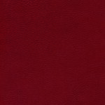 skai® Parotega NF - MAL - 0566