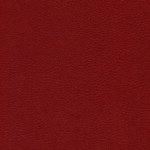 skai® Parotega NF - MAL - 0207