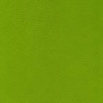 skai® Parotega NF Staynu - MAL - 0050