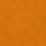 skai® Parotega NF - MAL - 0666