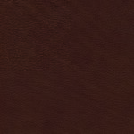 skai® Parotega NF - MAL - 0556