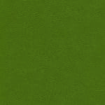 skai® Parotega NF - MAL - 0507