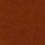 skai® Parotega NF - MAL - 0456