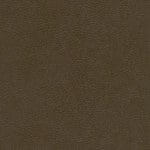 skai® Parotega NF - MAL - 0066